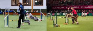 Intensiv-Trainng mit Thomas Behrendt + Monika Behrendt @ Hundesport Akademie Westfalen | Lübbecke | Nordrhein-Westfalen | Deutschland