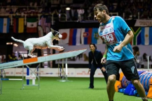 Agility Seminar mit Robert Kolenko @ Hundesport Akademie Westfalen | Lübbecke | Nordrhein-Westfalen | Deutschland