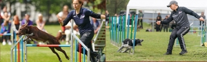 Agility-Seminar mit Monika Behrendt & Thomas Behrendt @ Hundesport Akademie Westfalen | Lübbecke | Nordrhein-Westfalen | Deutschland