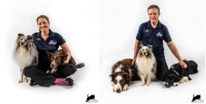 Agility-Seminar mit Monika Behrendt & Thomas Behrendt @ Hundesport Akademie Westfalen | Lübbecke | Nordrhein-Westfalen | Deutschland