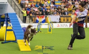 Agility Seminar Intensivtraining mit Svetlana Kreslina @ Hundesport Akademie Westfalen | Lübbecke | Nordrhein-Westfalen | Deutschland