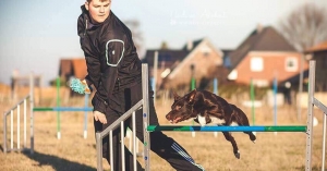 Agility Intensivtraining mit Max Sprinz @ Hundesport Akademie Westfalen | Lübbecke | Nordrhein-Westfalen | Deutschland