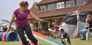 Intensivtraining mit Sabine Kreutz @ Hundesport Akademie Westfalen